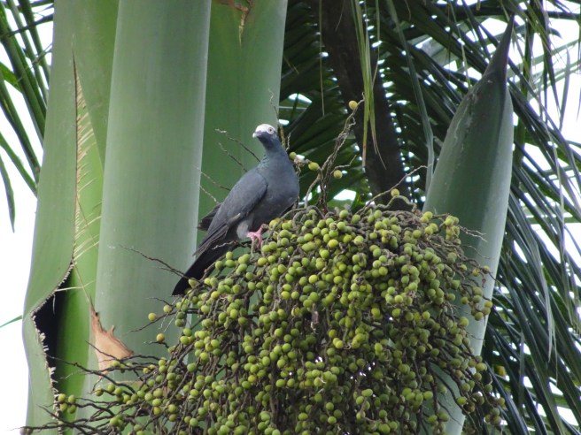 Credit: Edgar Zapata, zapatatalksnasa.com